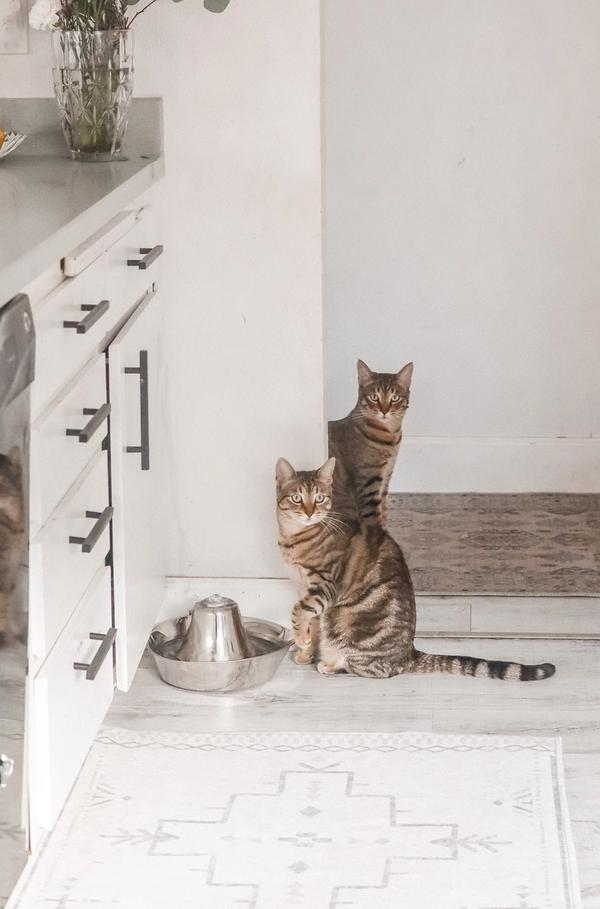 argumentaire marketing