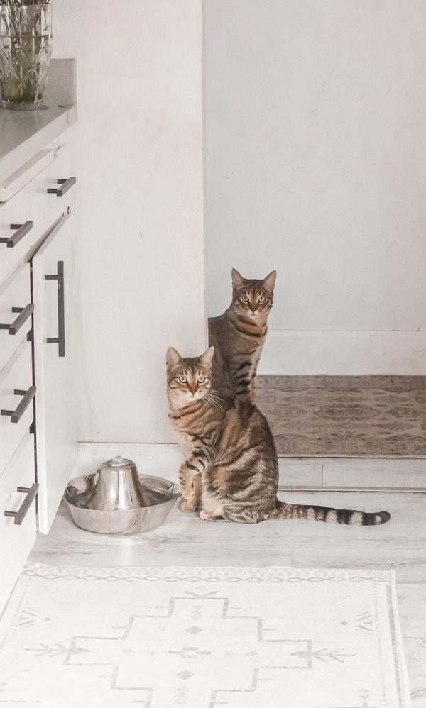 llamada de marketing