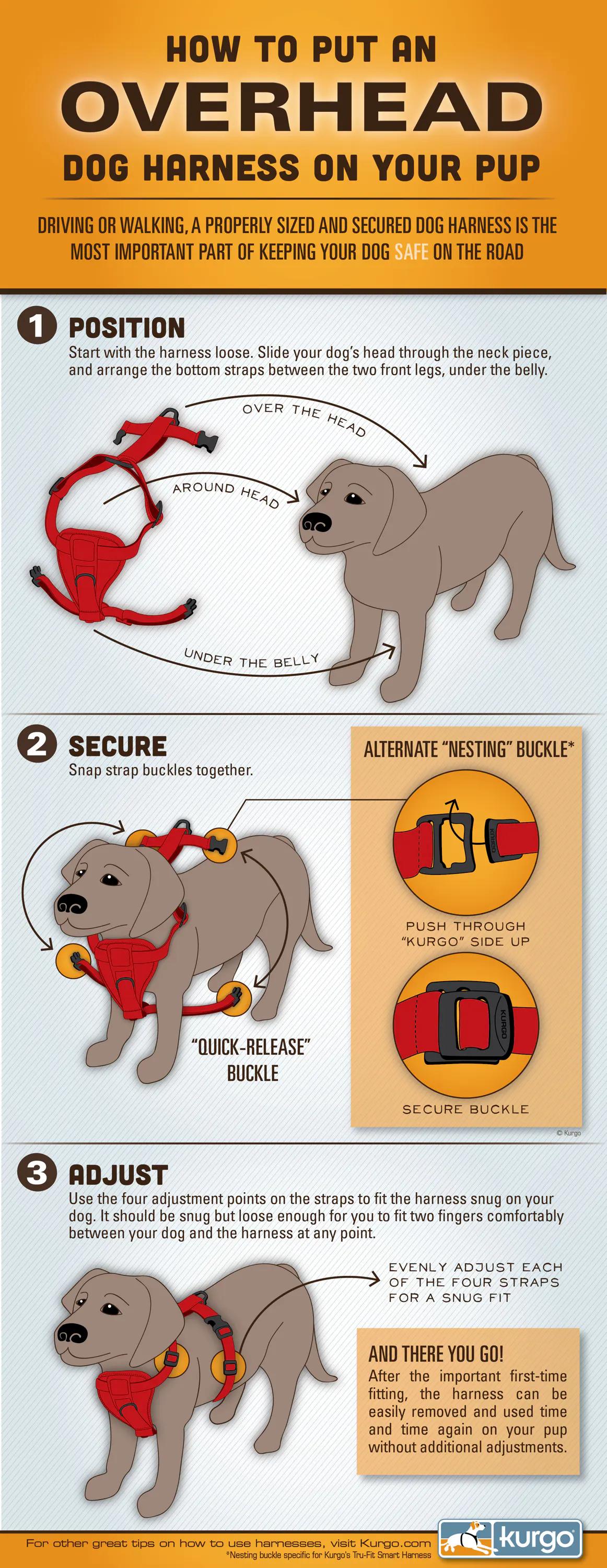 How to Put on An Overhead Harness Infographic