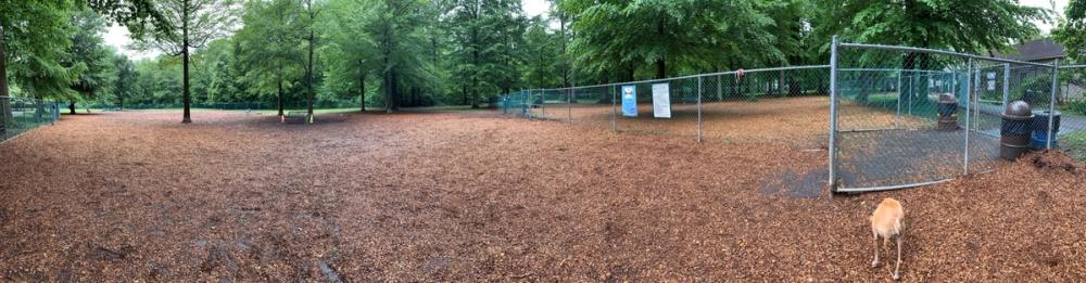 Large-Dog-Side_Panoramic