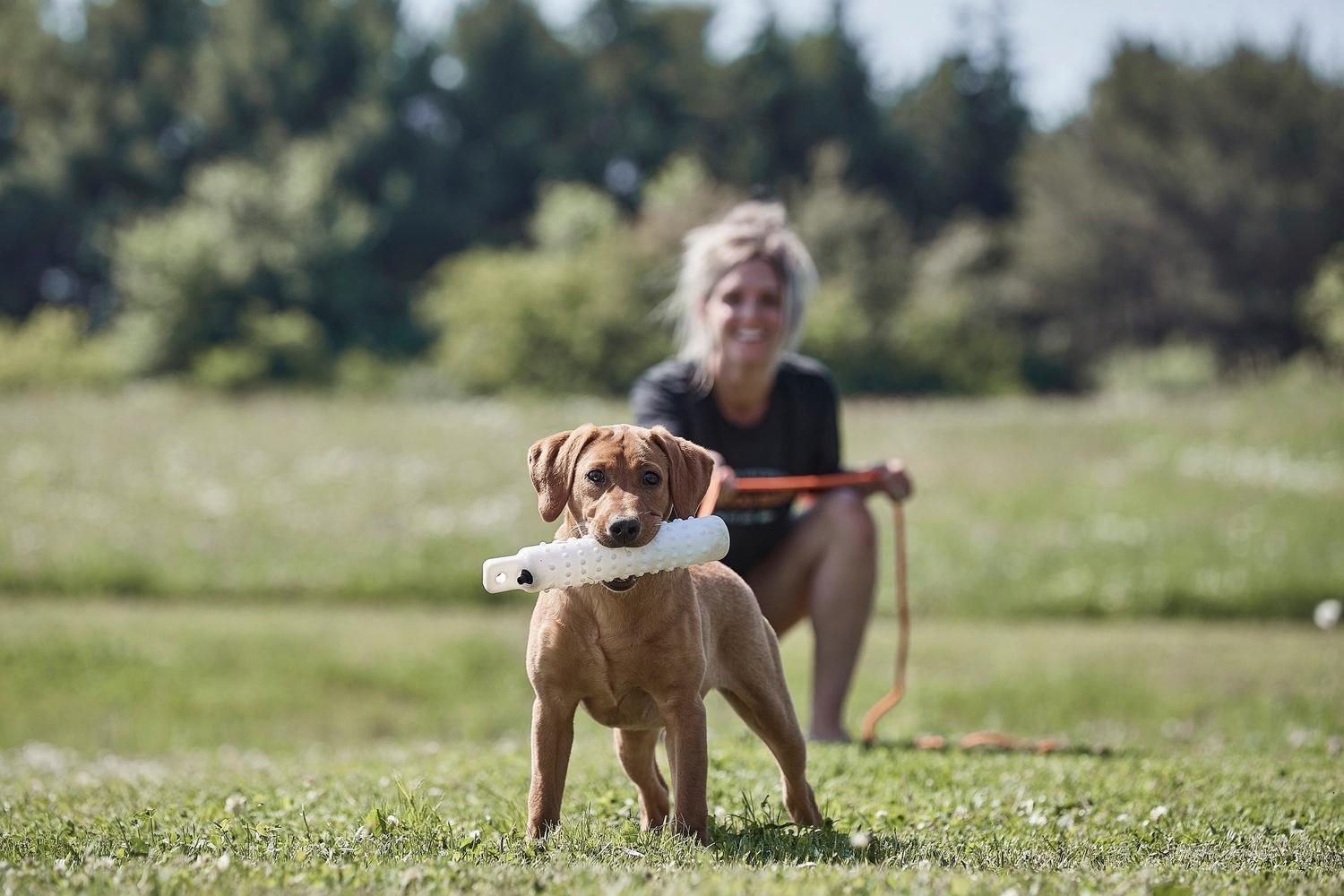 woman and dog with dummy