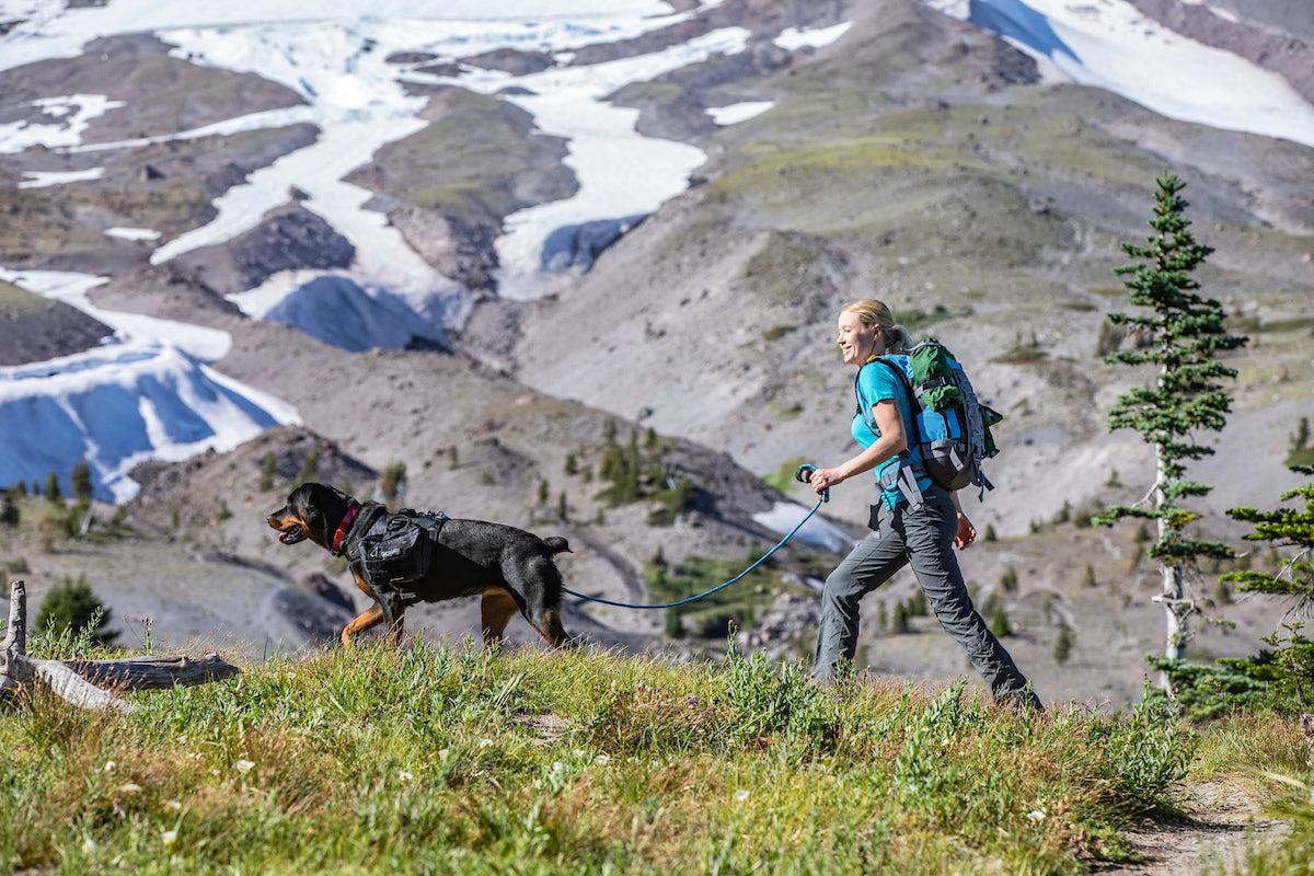 hiking with dog