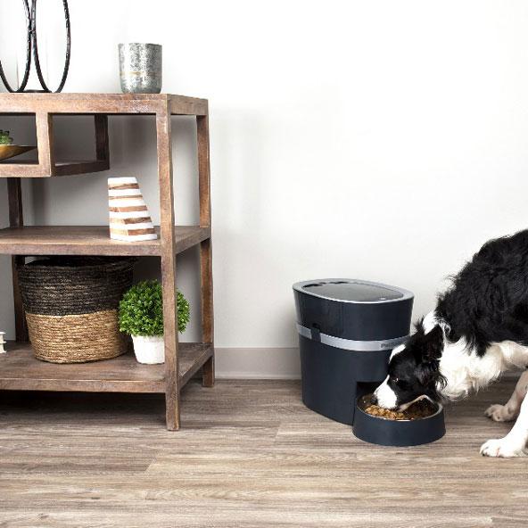 Pet Food: The Good, the Bad, and the Healthy