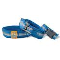 RSG Collar