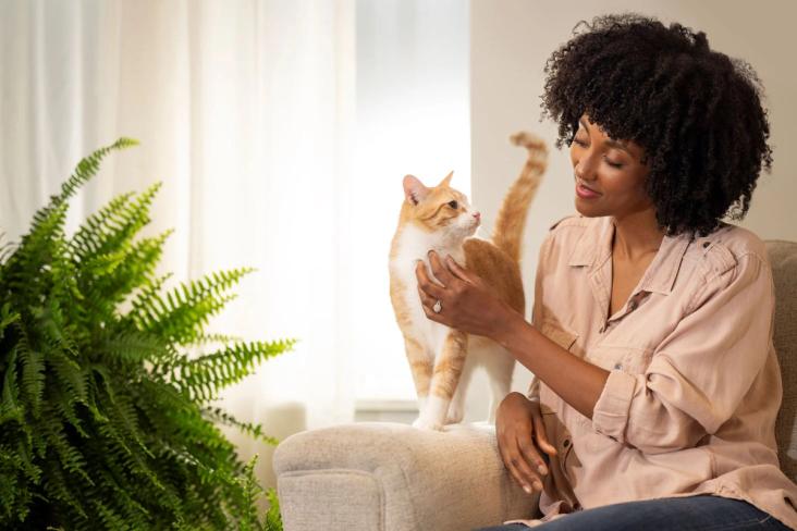 happy cat and happy person