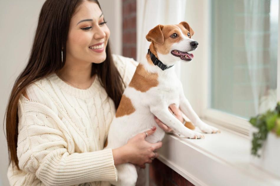 Why is Your Dog Barking?