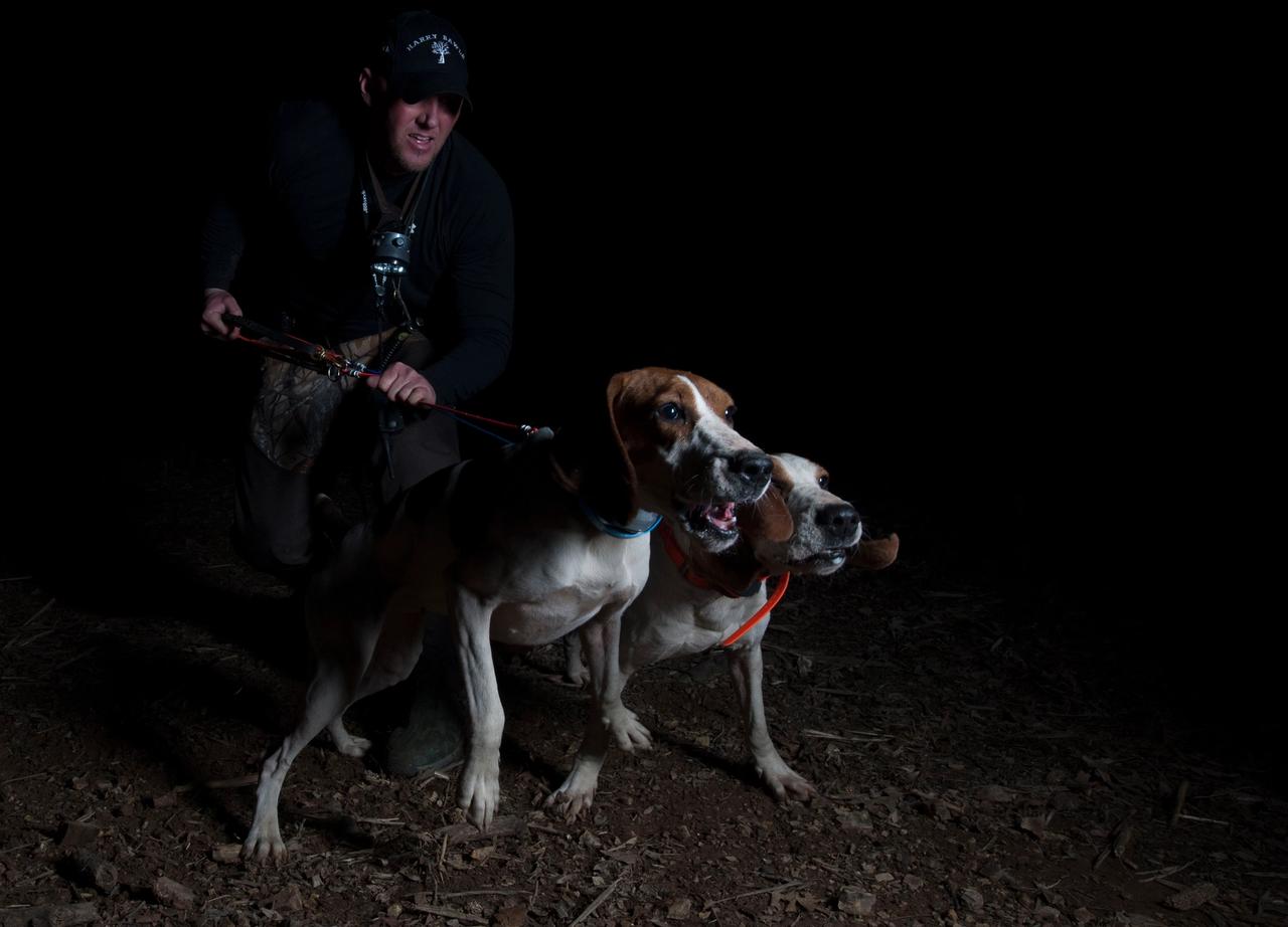 Controlling Multiple Dogs