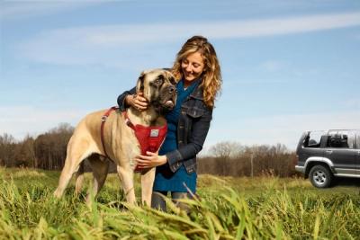 How to Be a Responsible Dog Owner