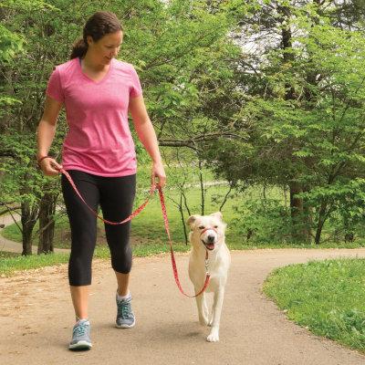 How to Fit a Gentle Leader® Headcollar