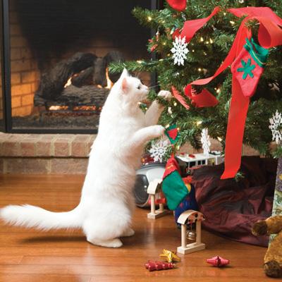 cat playing with Christmas tree