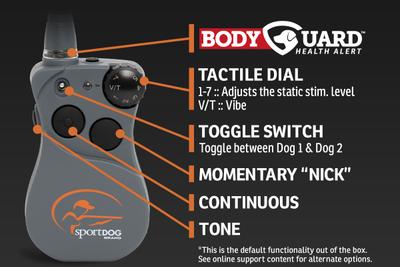 Infographic pointing out the features of the remote.