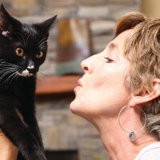 How to Hug Your Cat, Maybe?