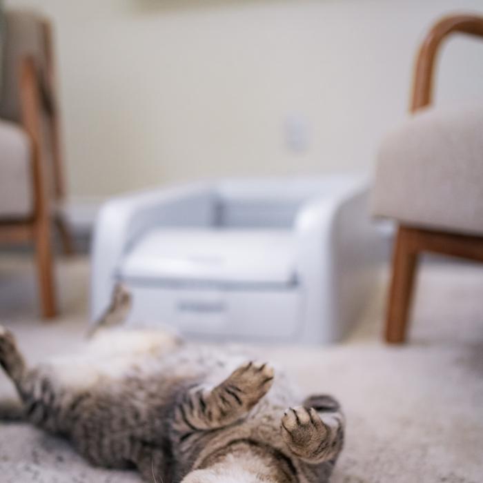good kitty and self-cleaning litter box