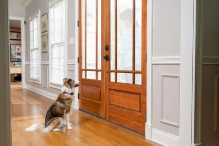 Dog by door