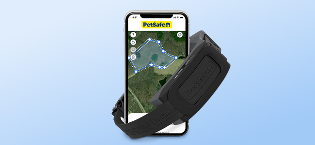 gps collar and a phone showing his custom boundary