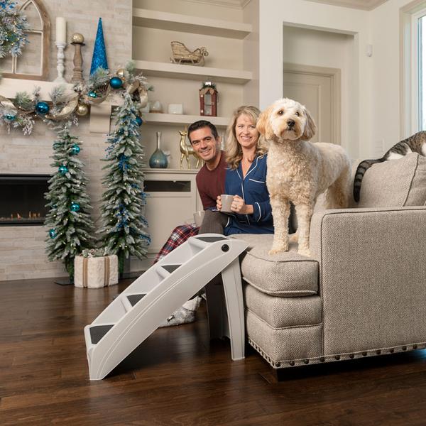 cat playing with laser toy