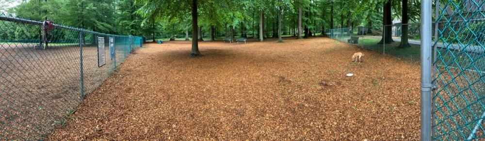 Small-Dog-Side_Panoramic