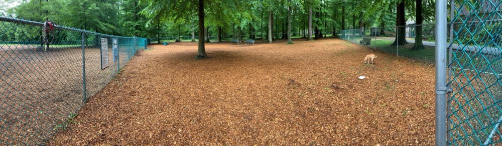 Small-Dog-Side_Panoramic