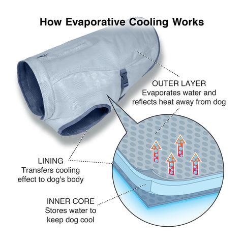 Dog Core Cooling Vest
