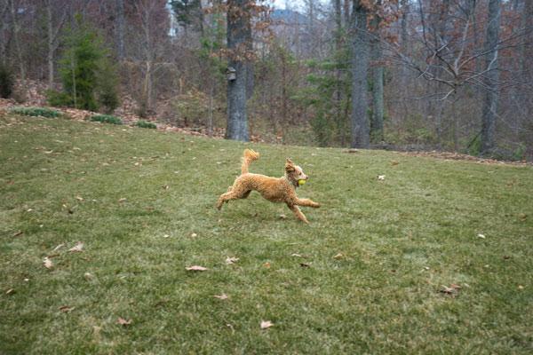 Exercise Ideas that Beat the Weather