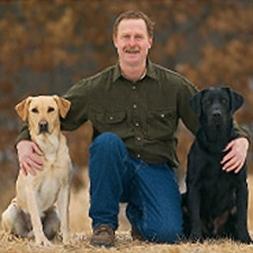 The Golden Rules of Dog Training