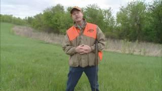 Downed Bird Hunting Dog Training