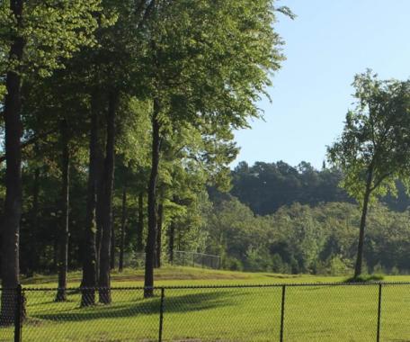 Bossart-Dog-Park-Picture-1-4