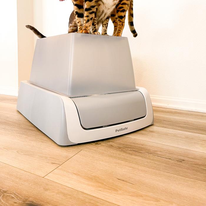 Two cats on top of the front-entry PetSafe ScoopFree Crystal Self-Cleaning Litter Box.