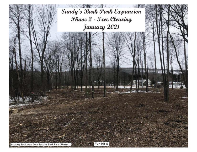 Exhibit-4-Dog-Park-Phase-II-Clearing-Photo