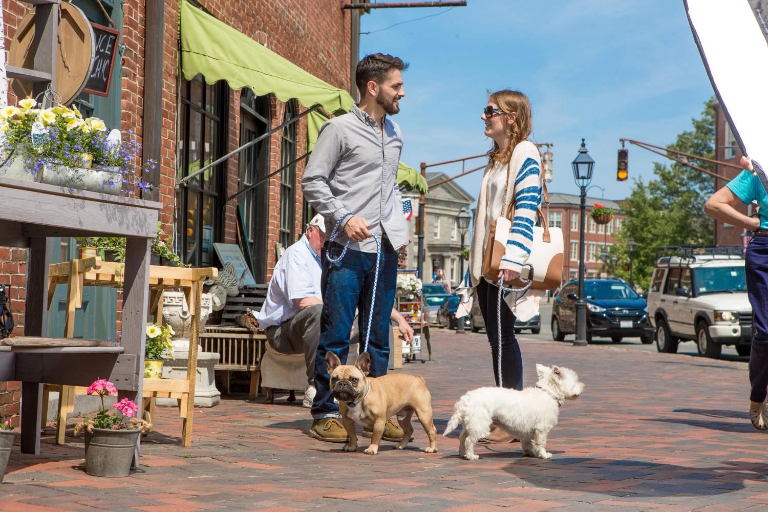 Dog Friendly Summer Events 2017