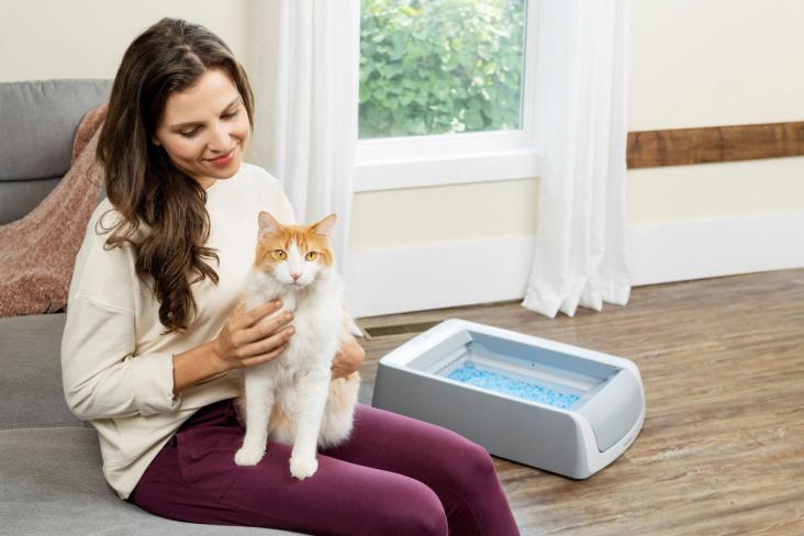 woman and cat and litter box
