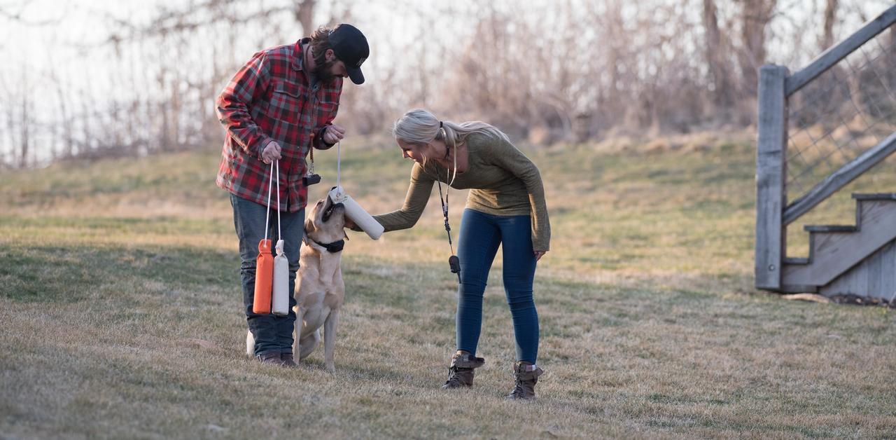 Man and woman petting and rewarding yellow lab for retrieving dummy