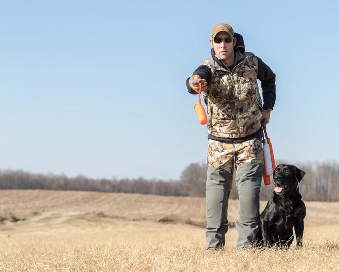 Man hand signaling to black Labrador Retriever to go retrieve a dummy