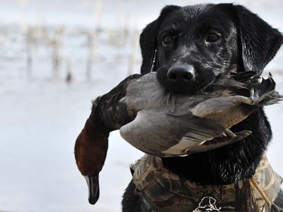 Rigors of a Tough Hunting Season