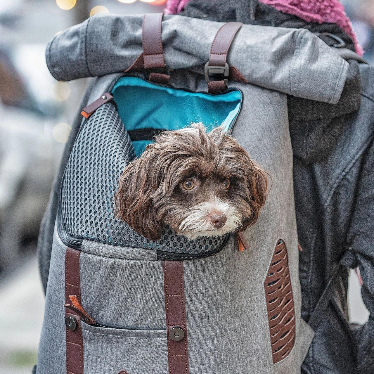 Meet the Designer: Inside the K9 Rucksack Kickstarter Project