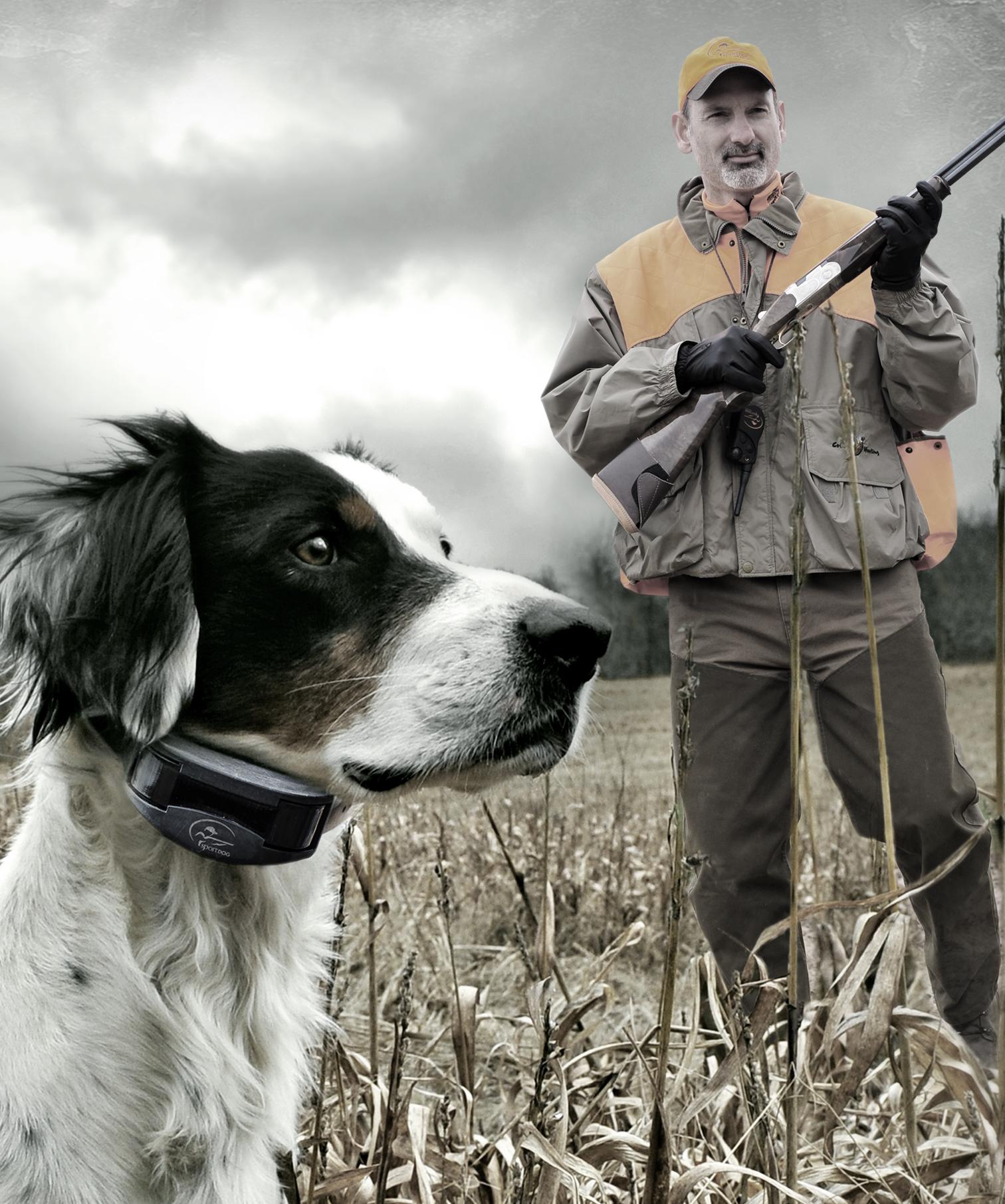 Gun Shy Dogs Can Blossom