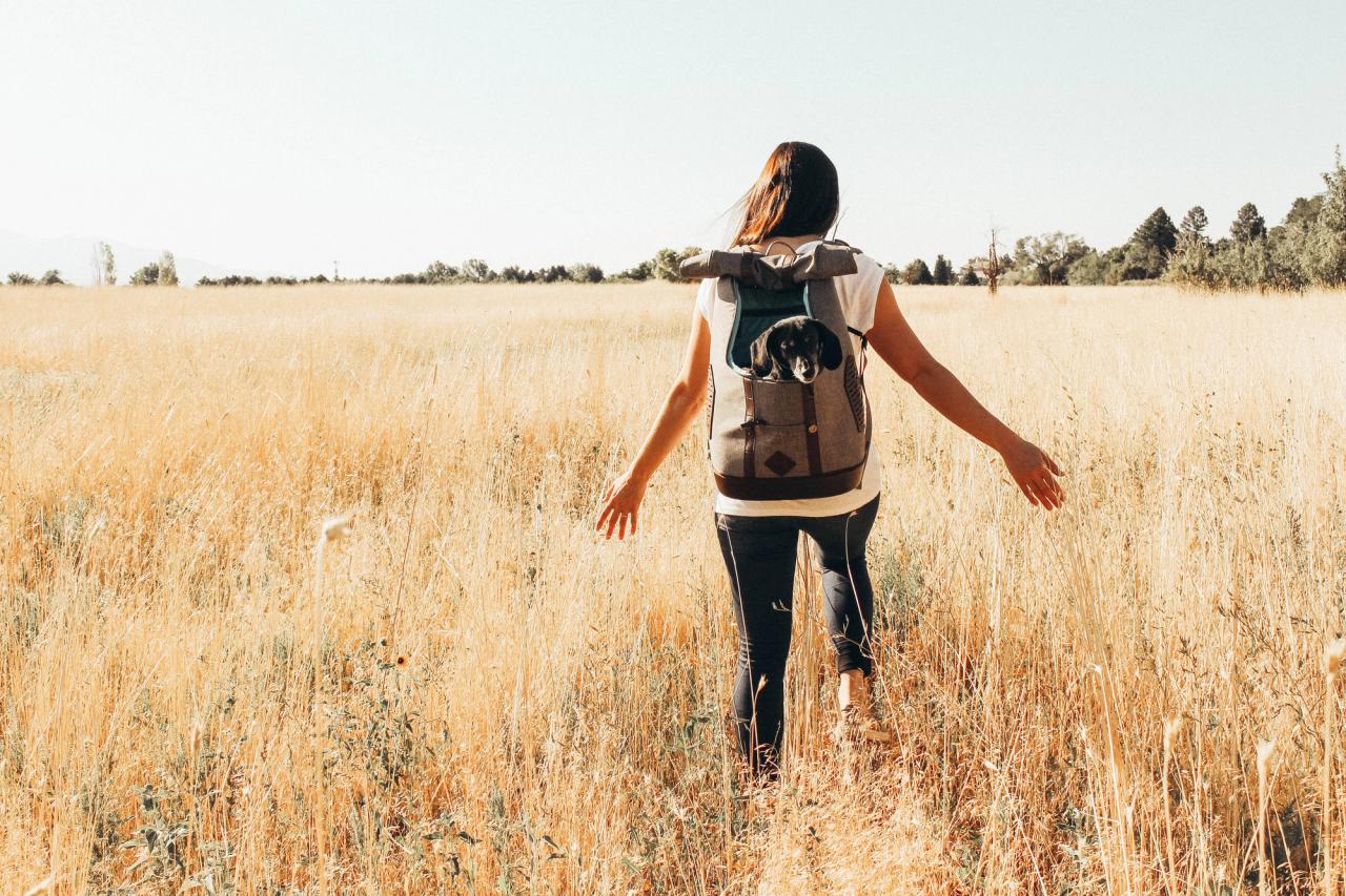 Rucksack