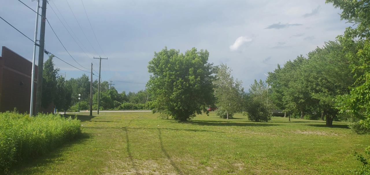 Potential-Dog-Park-Property-Looking-Towards-Roadway