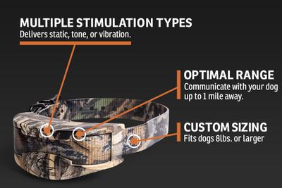 Infographic labeling features of collar