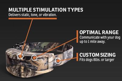Infographic labeling features of collar