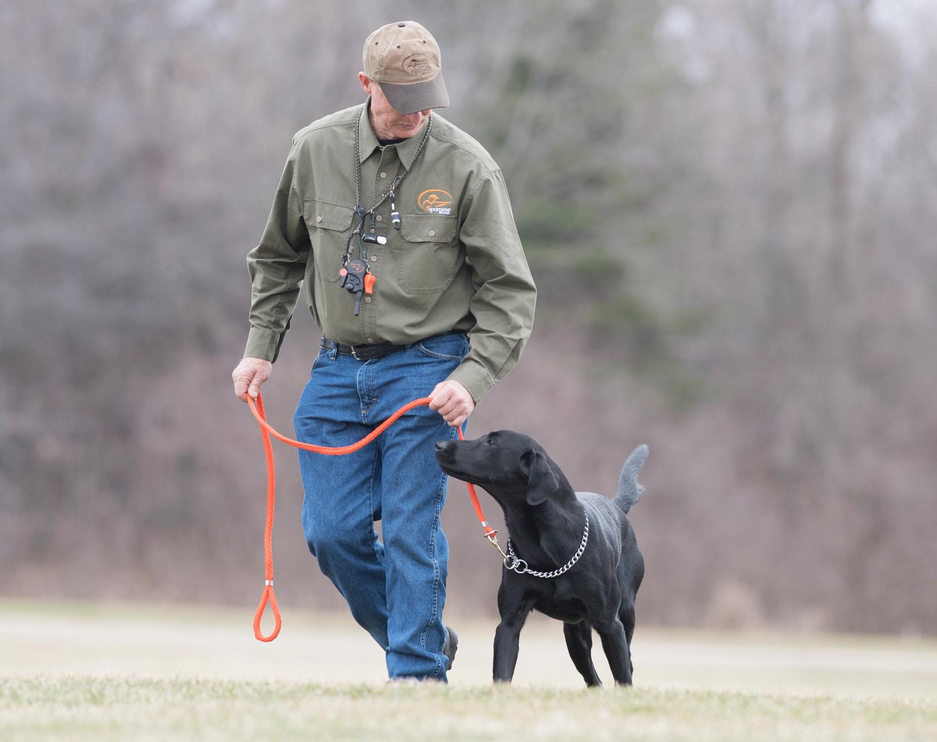 5 Things Dog Trainers Do Best