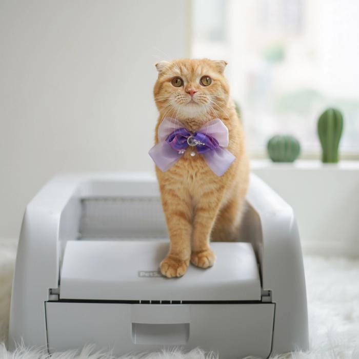 good kitty and self-cleaning litter box
