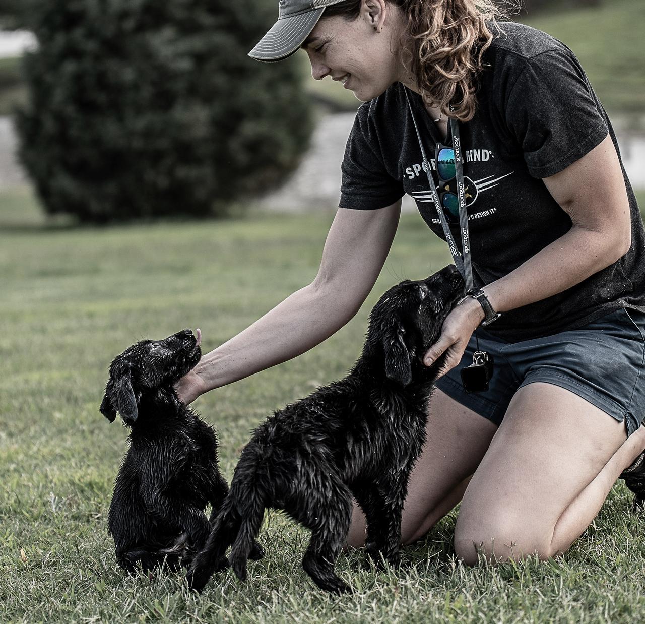 lady kneeling on ground petting two black lab puppies