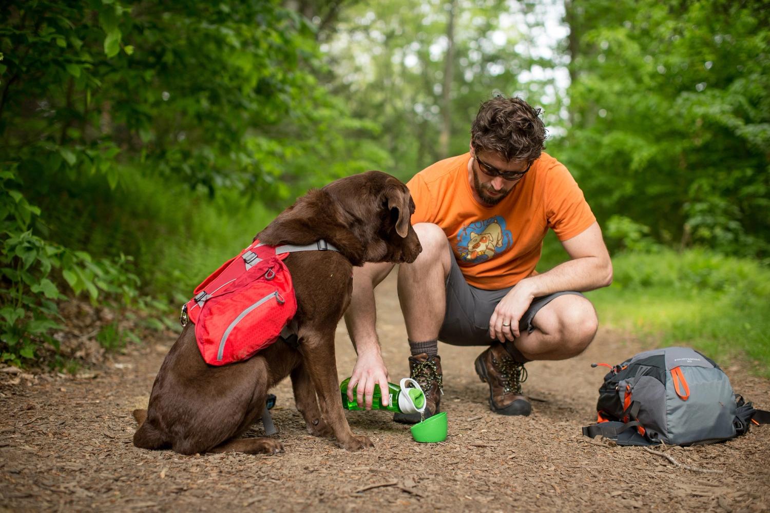 18 Dog-Friendly New England Fall Destinations 