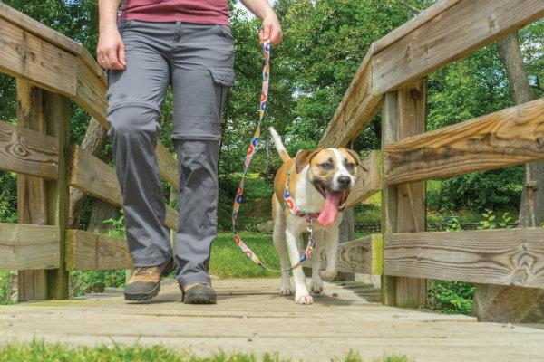 The 6 Ways an Easy Walk Harness® Can Make Walks Easier