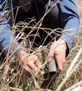 Making a Difference for the Grouse Population in North Dakota