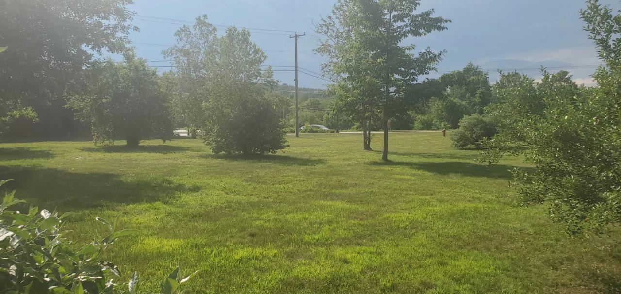 Potential-Dog-Park-Property-Side-View