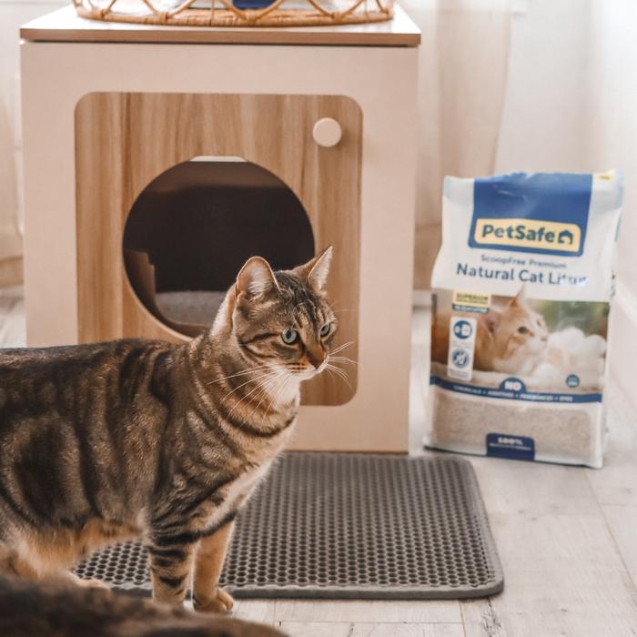 family and cat and automatic litter box