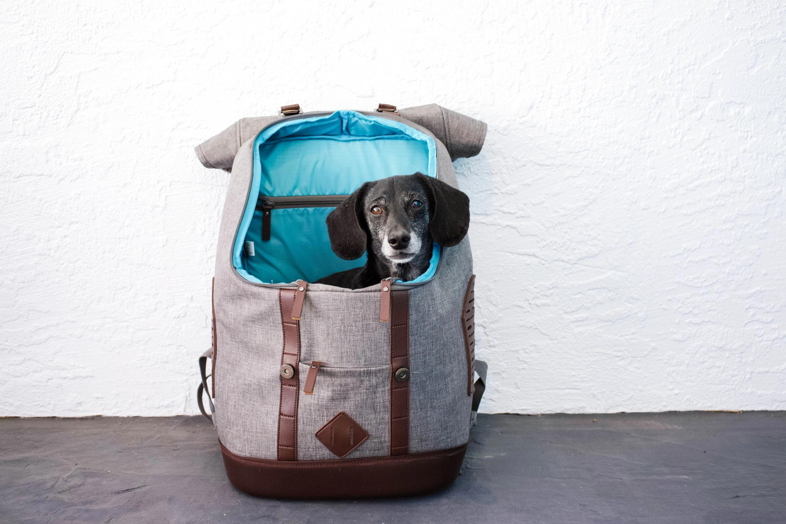 Trail Tested: Kurgo K9 Rucksack Dog Carrier 