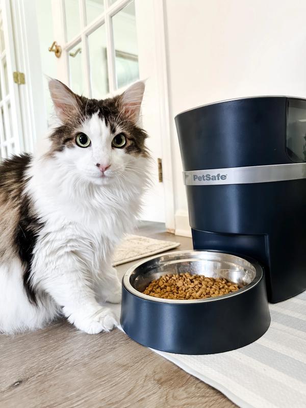 White cat with black and brown spots sitting next to the PetSafe Smart Feed Pet Feeder.